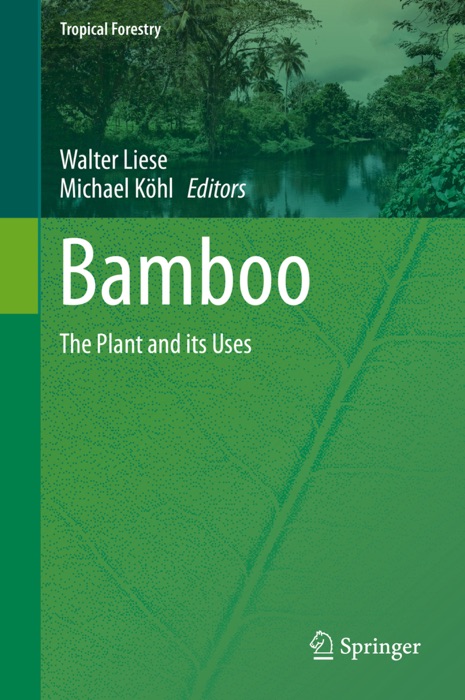 Bamboo