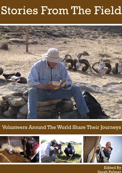 Stories From The Field: Volunteers Around The World Share Their Journeys