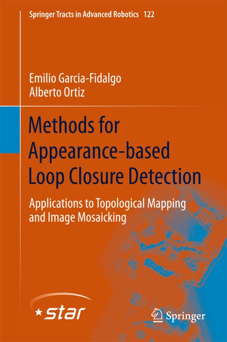 Methods for Appearance-based Loop Closure Detection