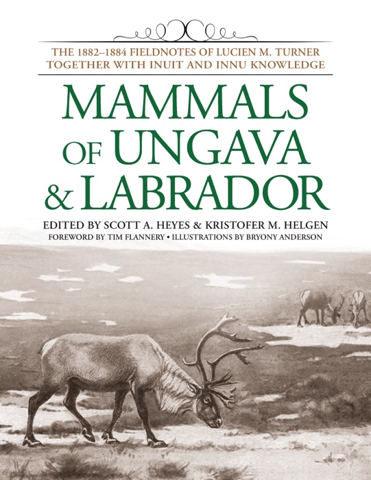 Mammals of Ungava and Labrador