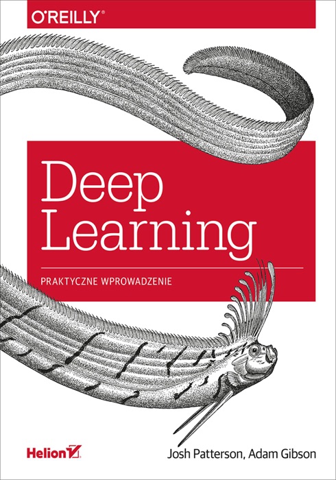 Deep Learning. Praktyczne wprowadzenie