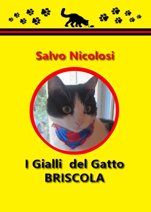 I Gialli del Gatto Briscola