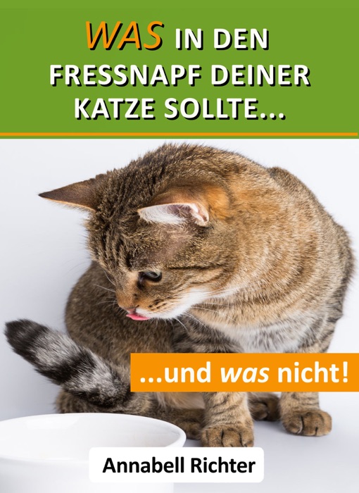 Was in den Fressnapf deiner Katze sollte... und was nicht!