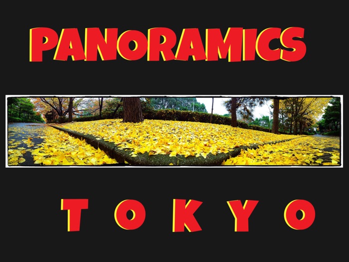 Panoramics in Tokyo