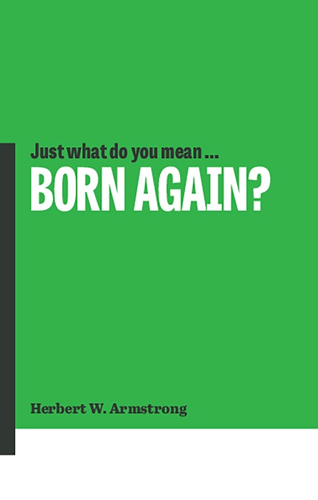 Just What Do You Mean Born Again?