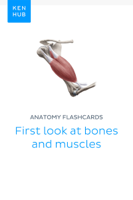 Kenhub - Anatomy flashcards: First look at bones and muscles artwork