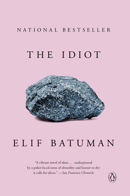 books like the idiot elif batuman