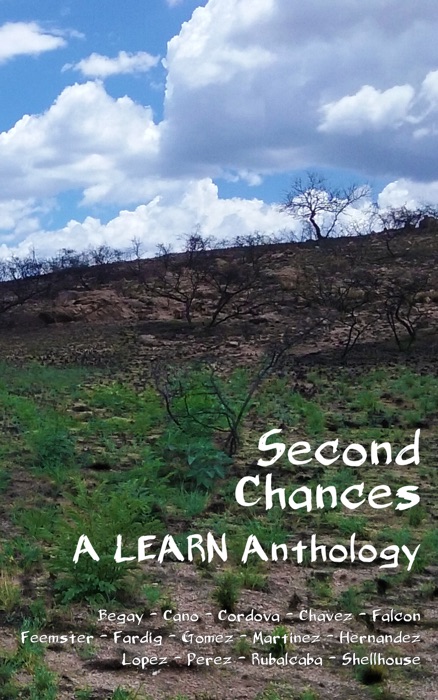 Second Chances: A LEARN Anthology