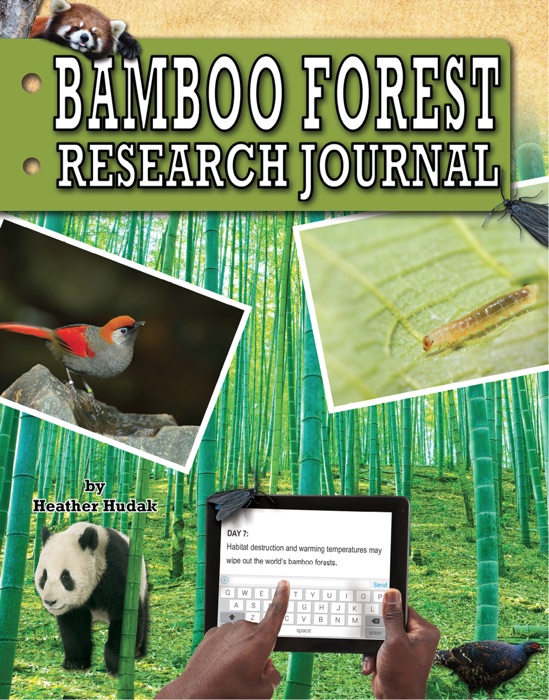 Bamboo Forest Research Journal