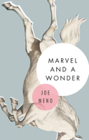Joe Meno - Marvel and a Wonder artwork