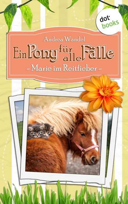 Ein Pony für alle Fälle - Zweiter Roman: Marie im Reitfieber