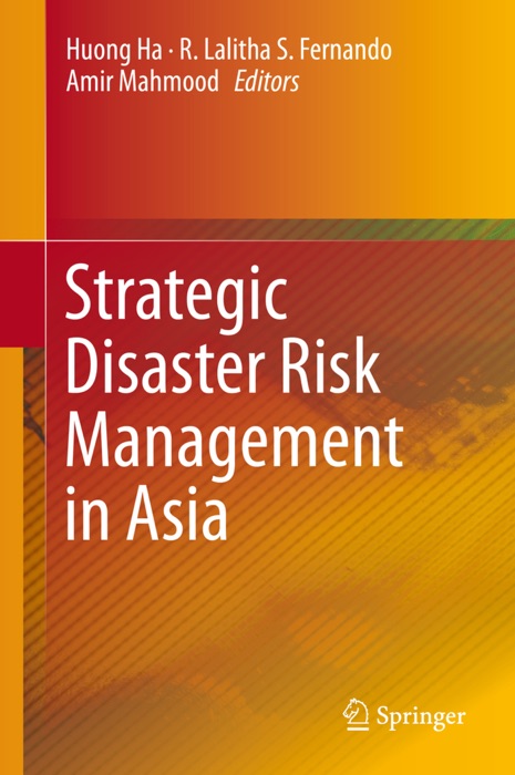 Strategic Disaster Risk Management in Asia