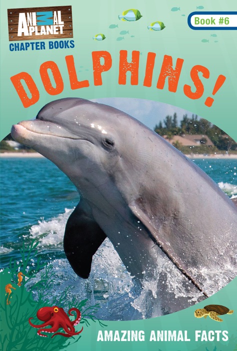 Dolphins! (Animal Planet Chapter Book #6)