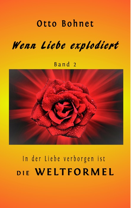 Wenn Liebe explodiert - Band 2