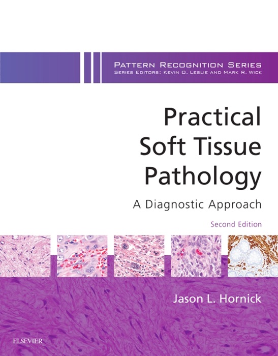 Practical Soft Tissue Pathology: A Diagnostic Approach E-Book