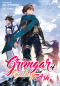 Grimgar of Fantasy and Ash: Volume 12 - Ao Jyumonji