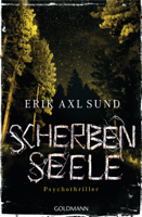Erik Axl Sund - Scherbenseele artwork