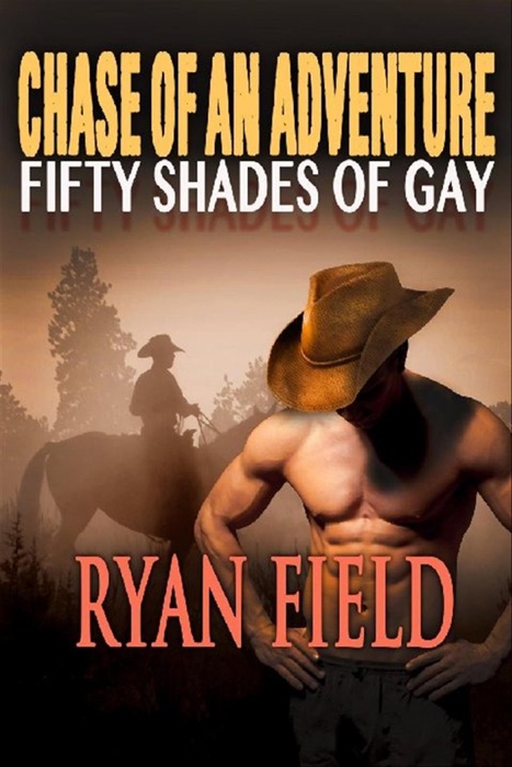 Chase Of An Adventure: Fifty Shades of Gay