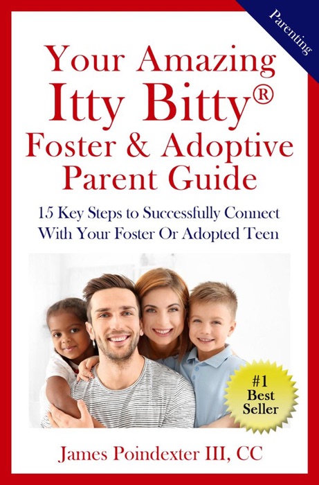 Your Amazing Itty Bitty® Foster & Adoptive Parent Guide