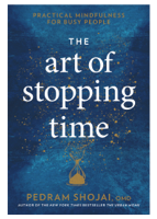 Pedram Shojai - The Art of Stopping Time artwork
