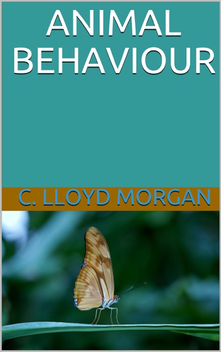 Animal Behaviour