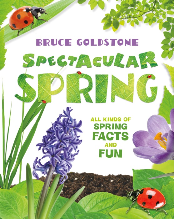 Spectacular Spring