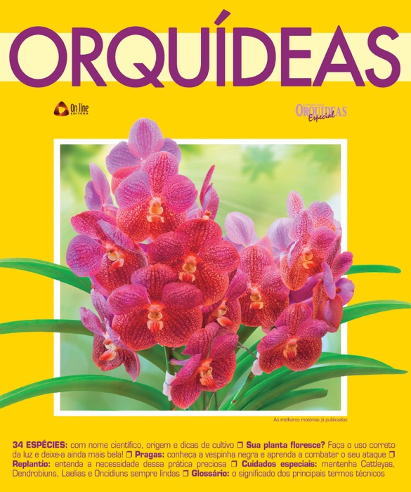 O Mundo das Orquídeas Especial 06