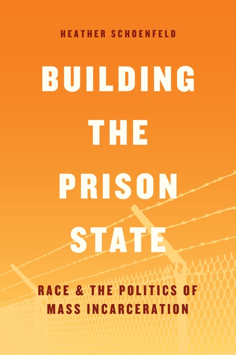 Building the Prison State