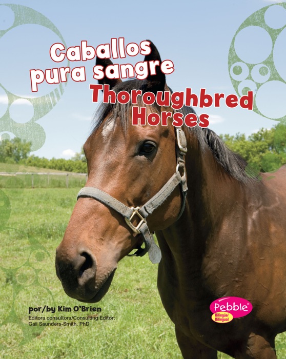 Caballos pura sangre/Thoroughbred Horses