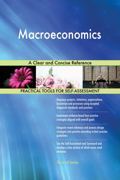 Macroeconomics A Clear and Concise Reference