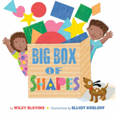 Big Box of Shapes - Wiley Blevins