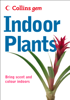 Indoor Plants - Collins