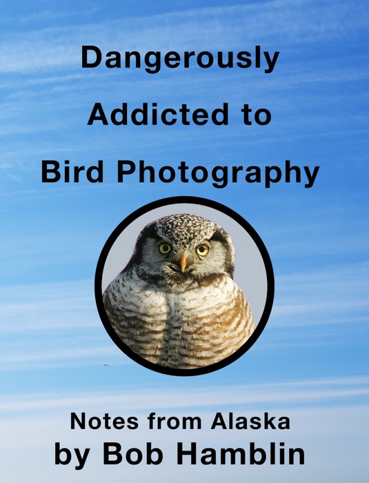 Dangerously Addicted to Bird Photography  by Bob Hamblin