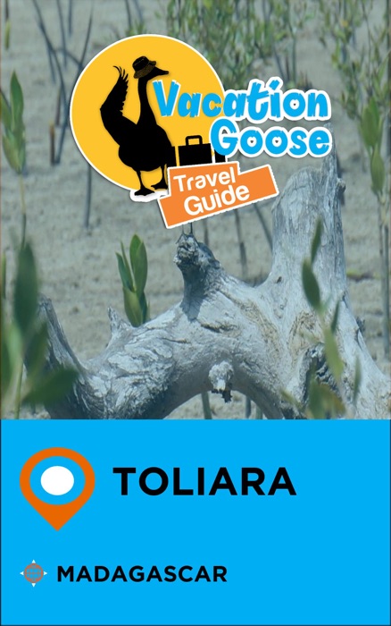 Vacation Goose Travel Guide Toliara Madagascar