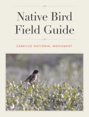 Download Cabrillo National Monument: Native Bird Field Guide