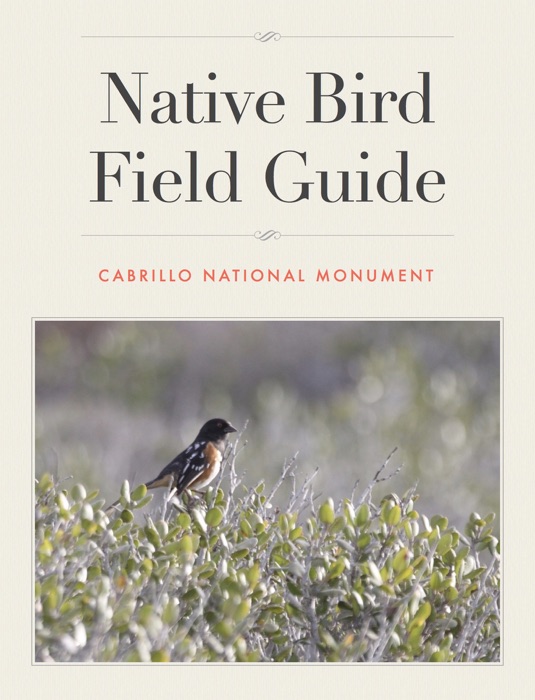 Cabrillo National Monument: Native Bird Field Guide