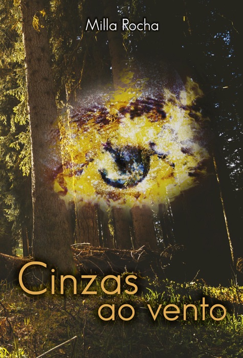 Cinzas ao vento