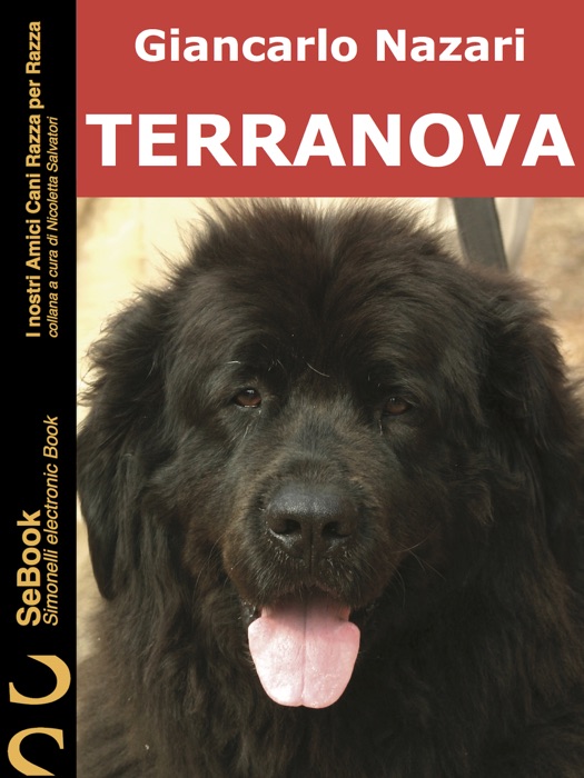 Terranova