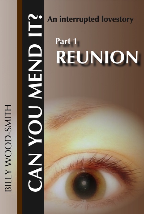 Can You Mend It?: Part 1: Reunion