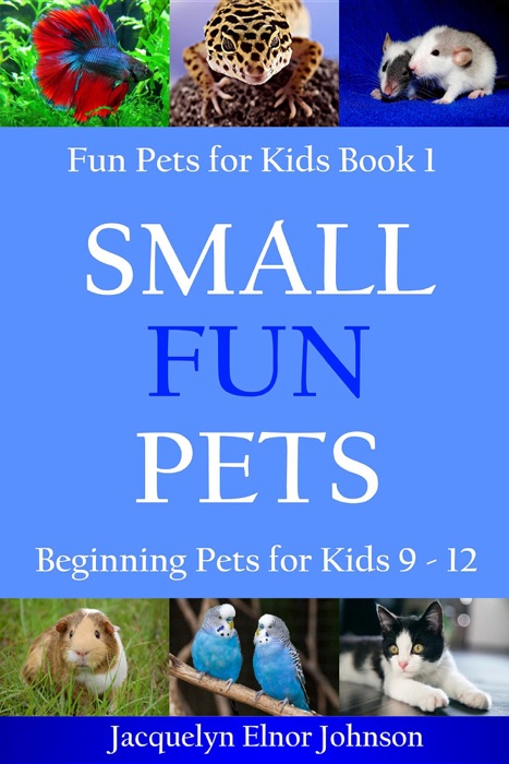 Small Fun Pets