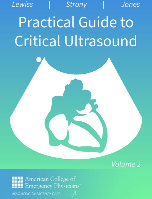 Practical Guide to Critical Ultrasound, Volume 2