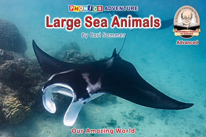 Large Sea Animals