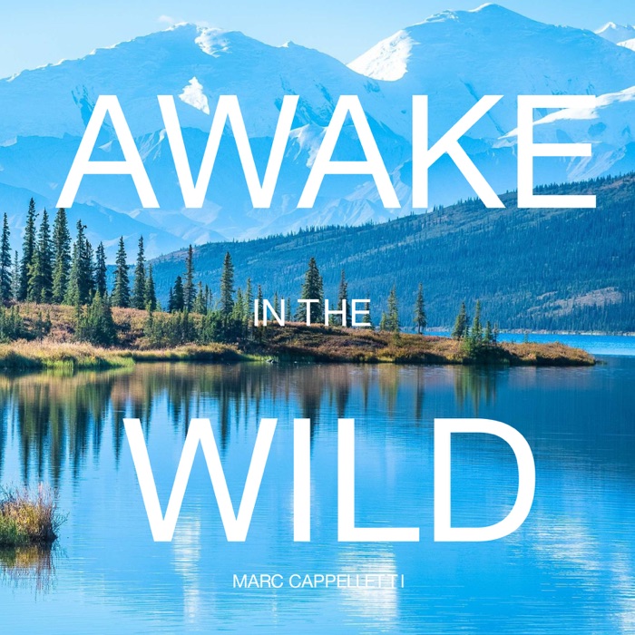 Awake in the Wild