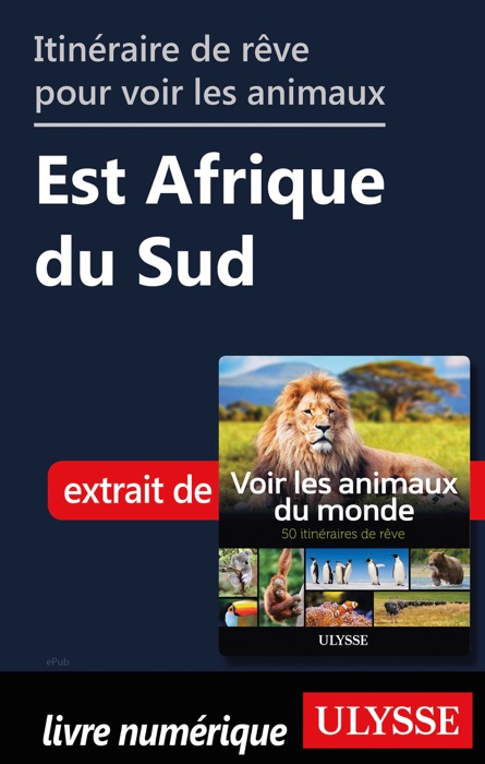 Itinéraire de rêve pour voir les animaux Est Afrique du Sud