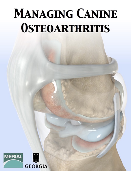 Managing Canine Osteoarthritis