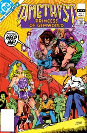 Amethyst: Princess of Gemworld (1983-) #5 - Gary Cohn, Dan Mishkin & Ernie Colón by  Gary Cohn, Dan Mishkin & Ernie Colón PDF Download