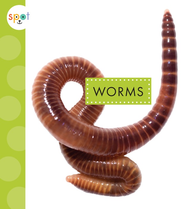 Worms