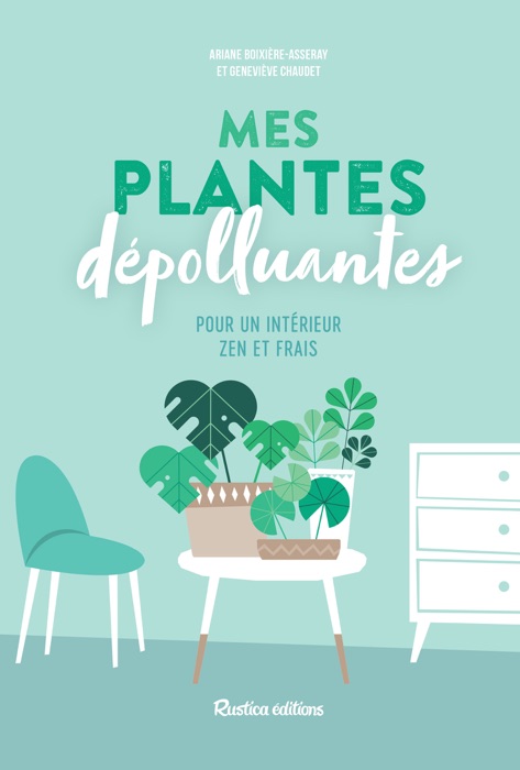 Mes plantes dépolluantes pour un intérieur zen et frais