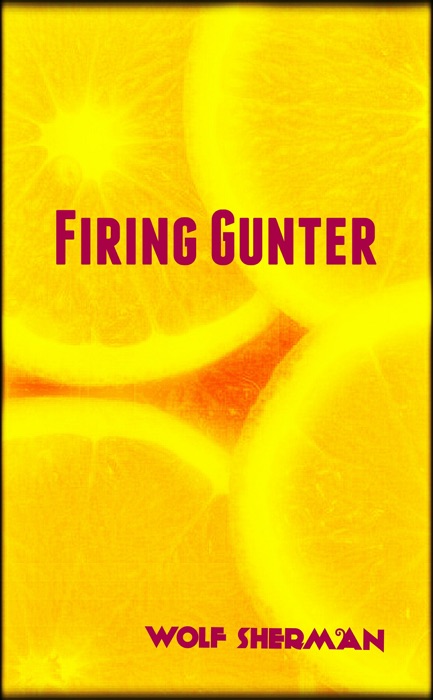 Firing Gunter