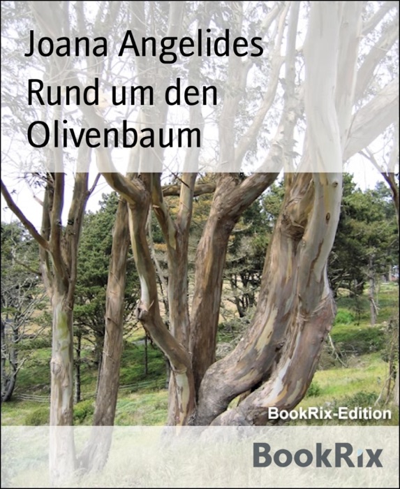 Rund um den Olivenbaum